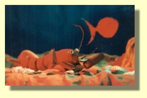 Bildergalerie -> Swimmy
